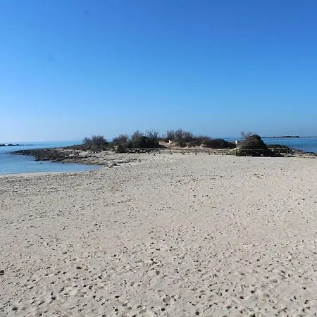 Bilo Eddy * Torre Lapillo